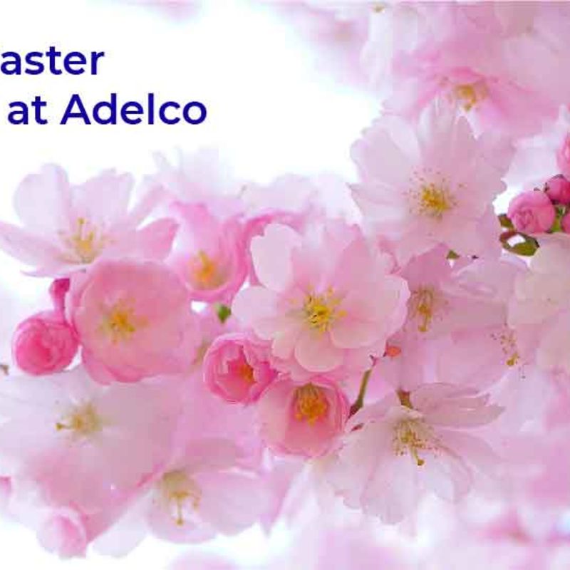 Easter 21