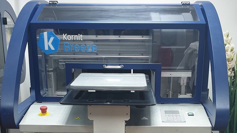 Kornit Breeze - 2 years old