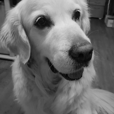 kasey Headshot